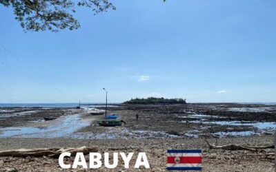 CABUYA