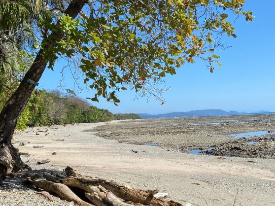 Playa Cabuya