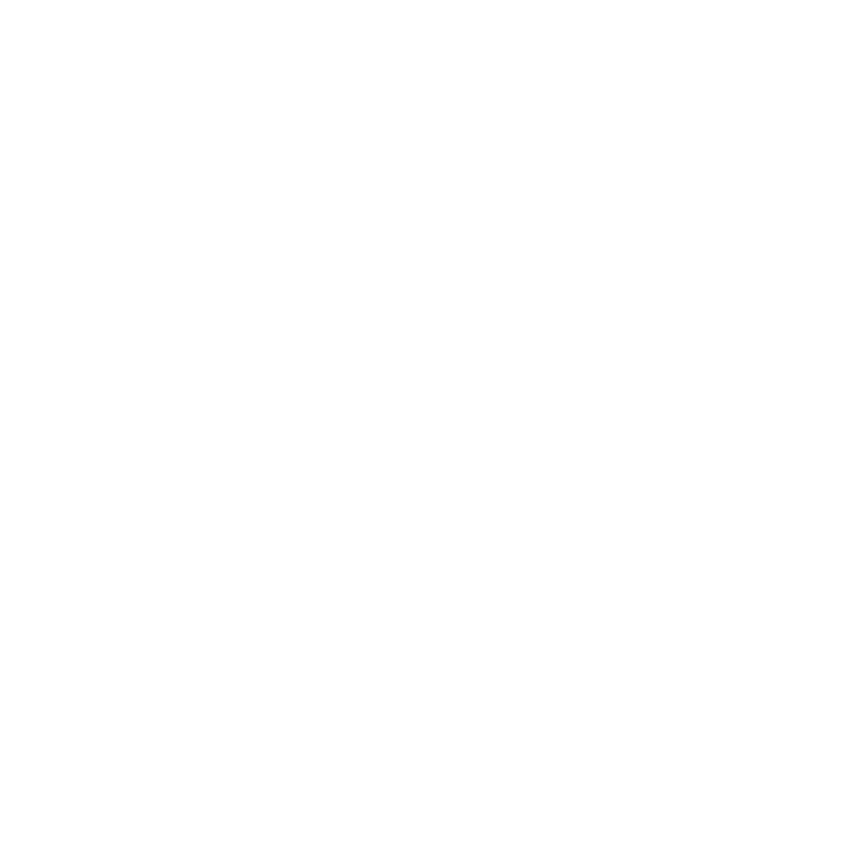 Adventure Flights