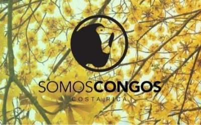 SOMOS CONGOS
