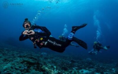 Ananda. Dive N’ Flow